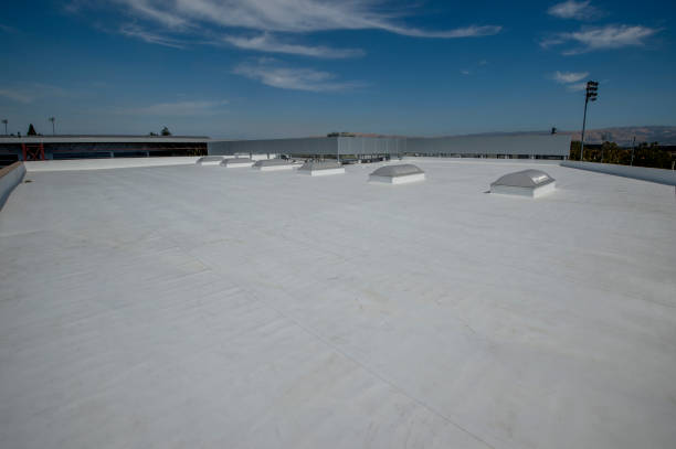 Best Roof Leak Repair  in Marfa, TX