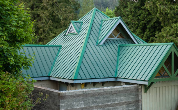 Best Roof Moss and Algae Removal  in Marfa, TX