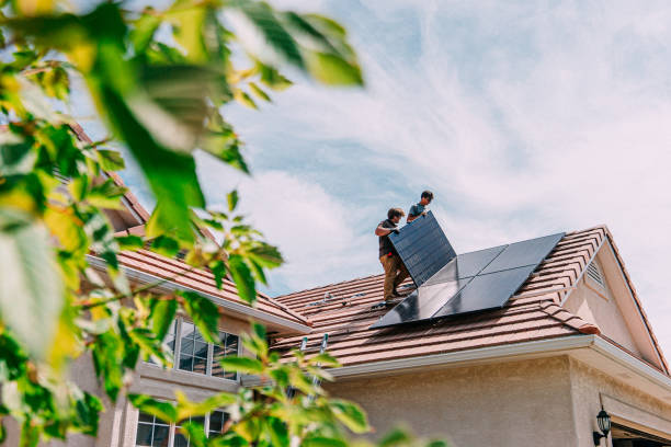 Best Roof Moss and Algae Removal  in Marfa, TX