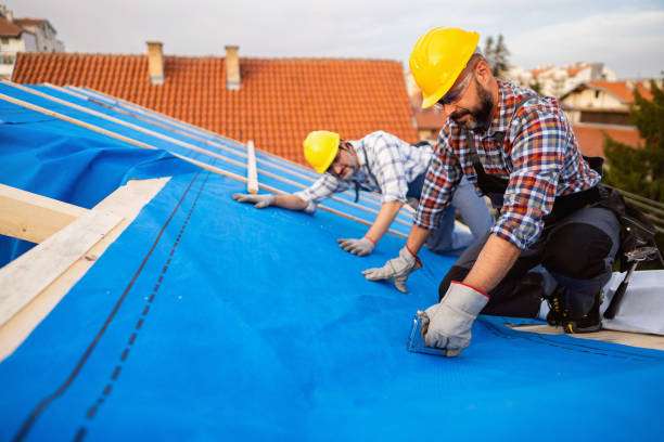 Best Gutter Installation and Repair  in Marfa, TX