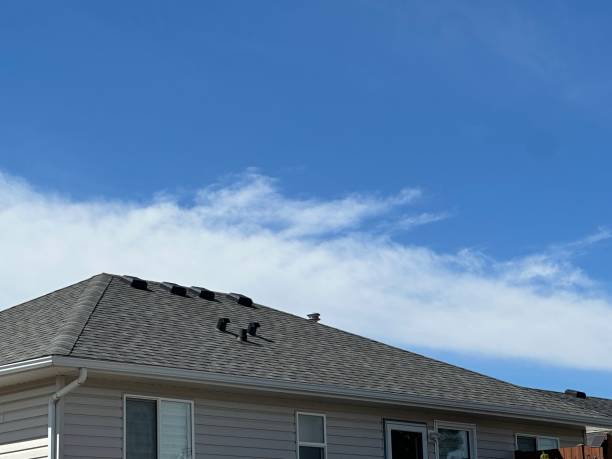 Best Steel Roofing  in Marfa, TX